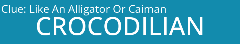 Like An Alligator Or Caiman