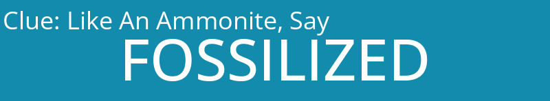 Like An Ammonite, Say