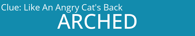 Like An Angry Cat's Back