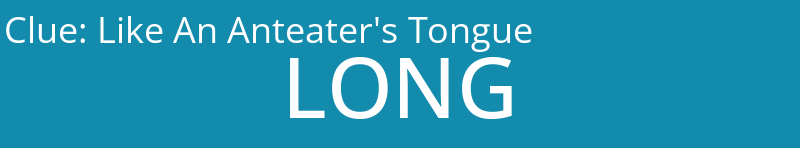 Like An Anteater's Tongue