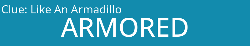 Like An Armadillo 