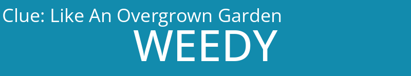 Like An Overgrown Garden