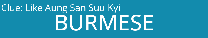 Like Aung San Suu Kyi