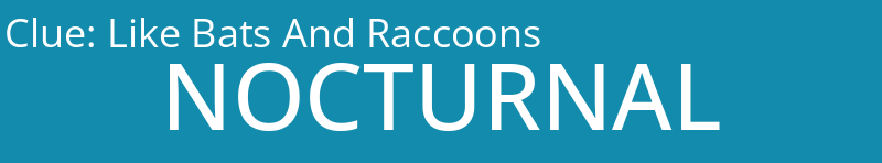 Like Bats And Raccoons