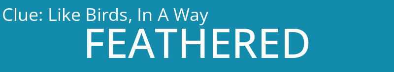 Like Birds, In A Way