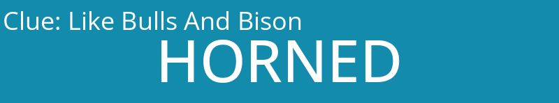 Like Bulls And Bison