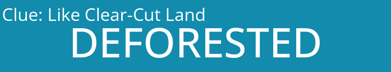 Like Clear-Cut Land