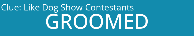 Like Dog Show Contestants