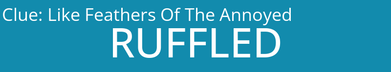 Like Feathers Of The Annoyed