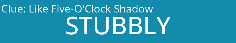 Like Five-O'Clock Shadow