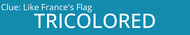 Like France's Flag