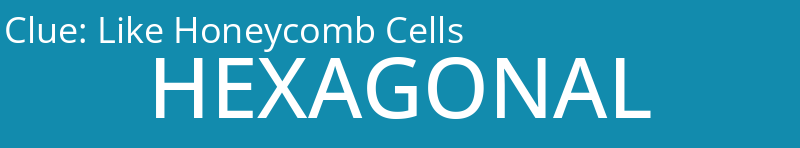 Like Honeycomb Cells