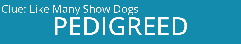 Like Many Show Dogs