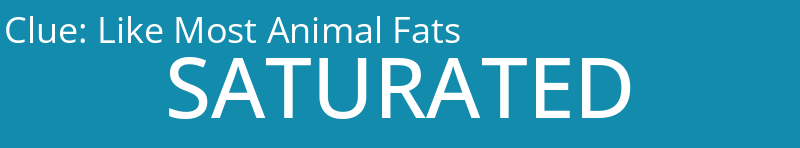 Like Most Animal Fats