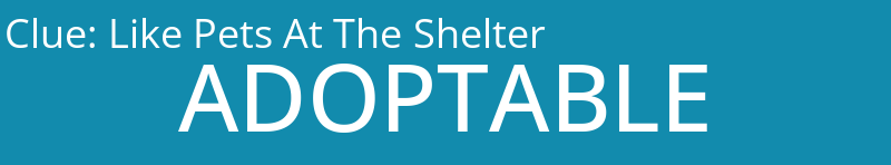 Like Pets At The Shelter