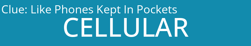 Like Phones Kept In Pockets