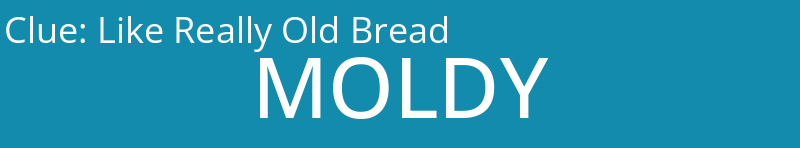 Like Really Old Bread