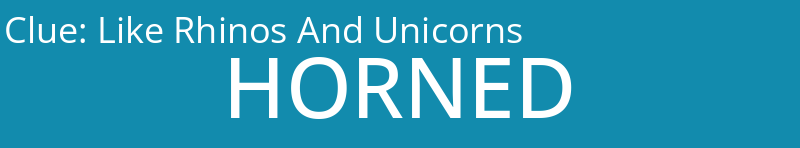 Like Rhinos And Unicorns