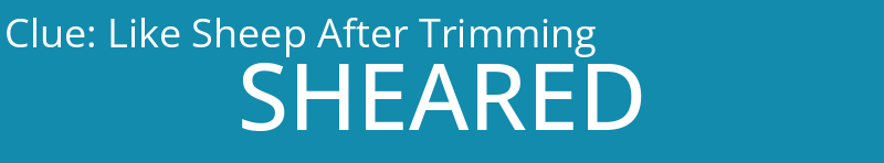 Like Sheep After Trimming