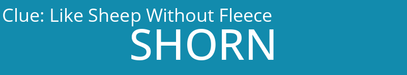 Like Sheep Without Fleece