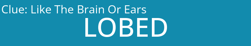 Like The Brain Or Ears