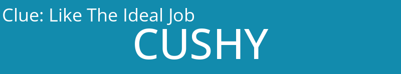 Like The Ideal Job