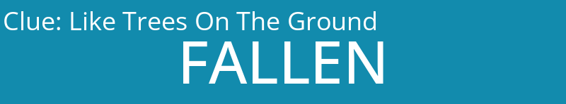 Like Trees On The Ground