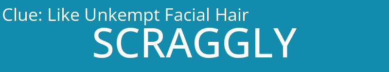 Like Unkempt Facial Hair