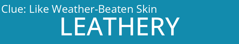 Like Weather-Beaten Skin