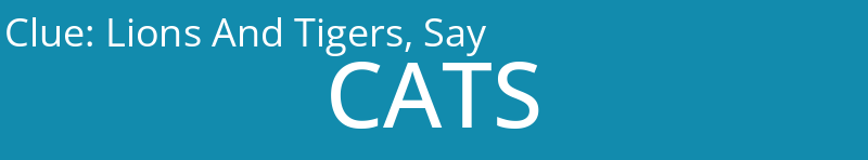 Lions And Tigers, Say