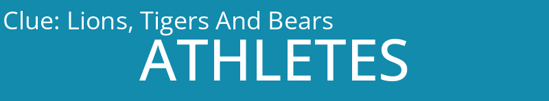 Lions, Tigers And Bears