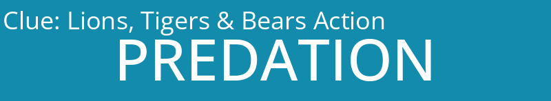 Lions, Tigers & Bears Action