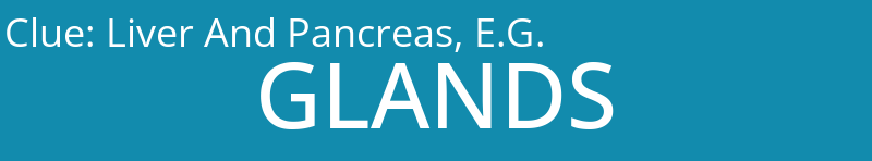 Liver And Pancreas, E.G.