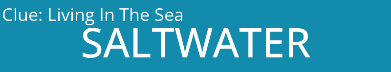 Living In The Sea