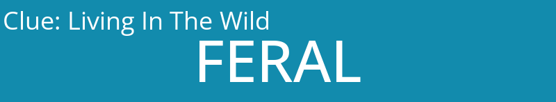 Living In The Wild