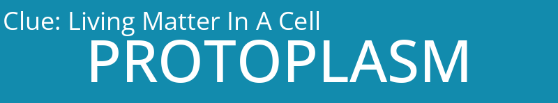 Living Matter In A Cell
