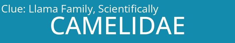 Llama Family, Scientifically