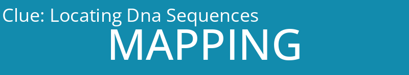 Locating Dna Sequences