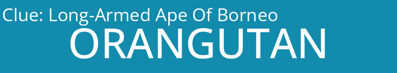 Long-Armed Ape Of Borneo