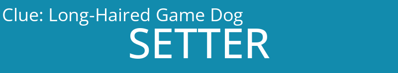 Long-Haired Game Dog
