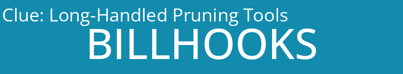 Long-Handled Pruning Tools