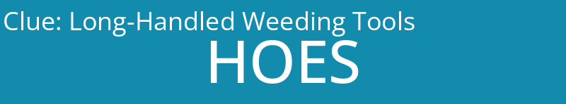 Long-Handled Weeding Tools