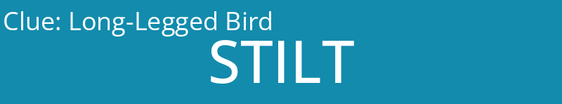 Long-Legged Bird