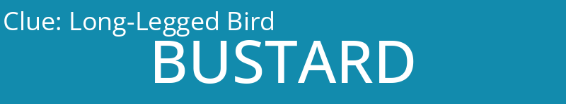 Long-Legged Bird