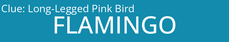 Long-Legged Pink Bird