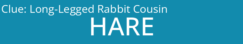 Long-Legged Rabbit Cousin