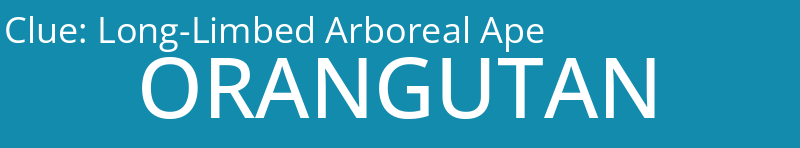Long-Limbed Arboreal Ape