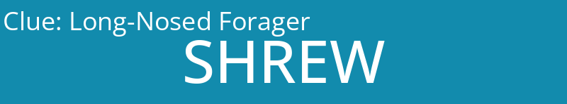 Long-Nosed Forager