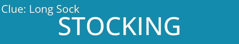 Long Sock