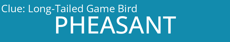 Long-Tailed Game Bird
